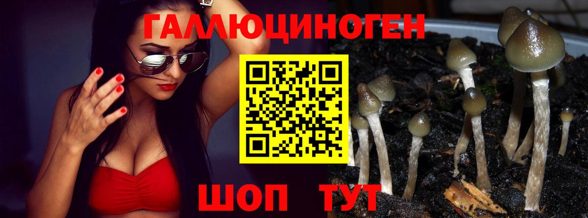 Алексеевка  Псилоцибиновые грибы прущие грибы  Псилоцибиновые грибы мухоморы  Вход с VPN 